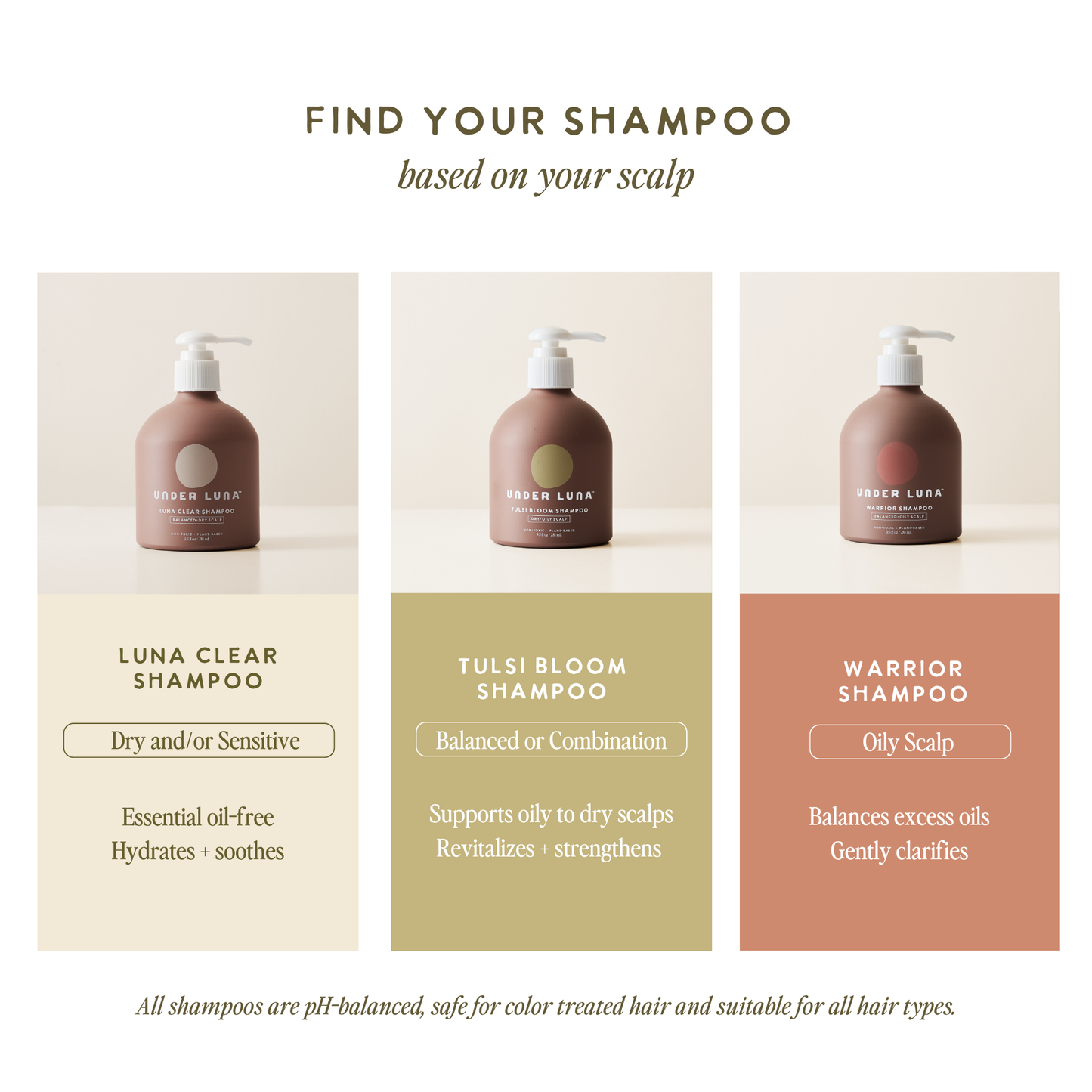 Tulsi Bloom Shampoo, Balanced Scalp 9.5 fl oz