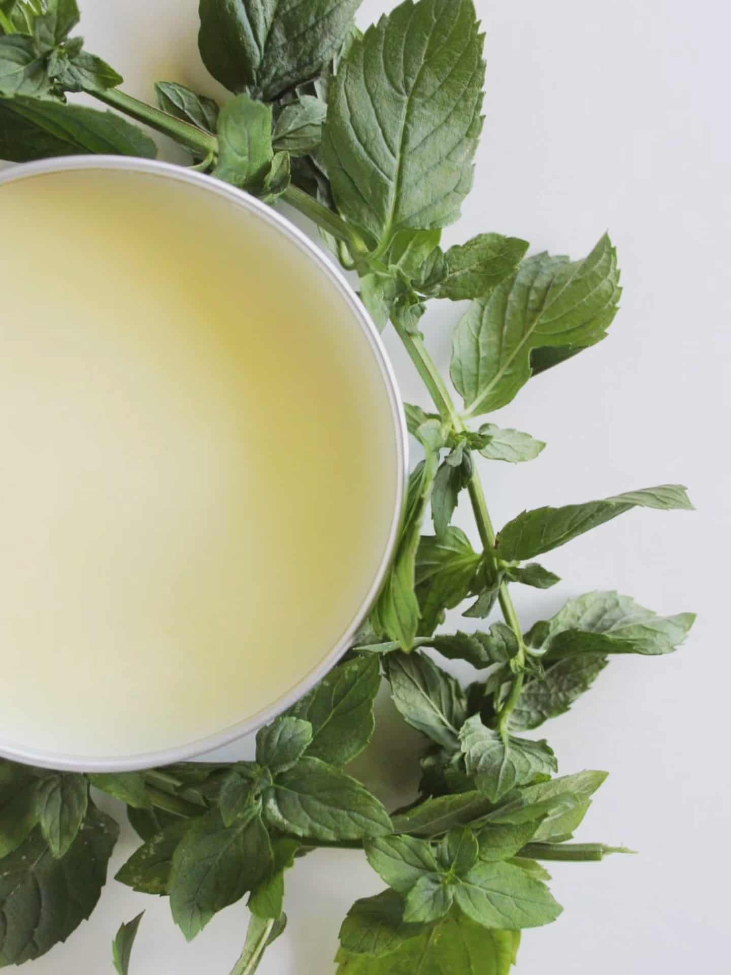 Breathe Well Balm | Tallow Vapor Chest Rub
