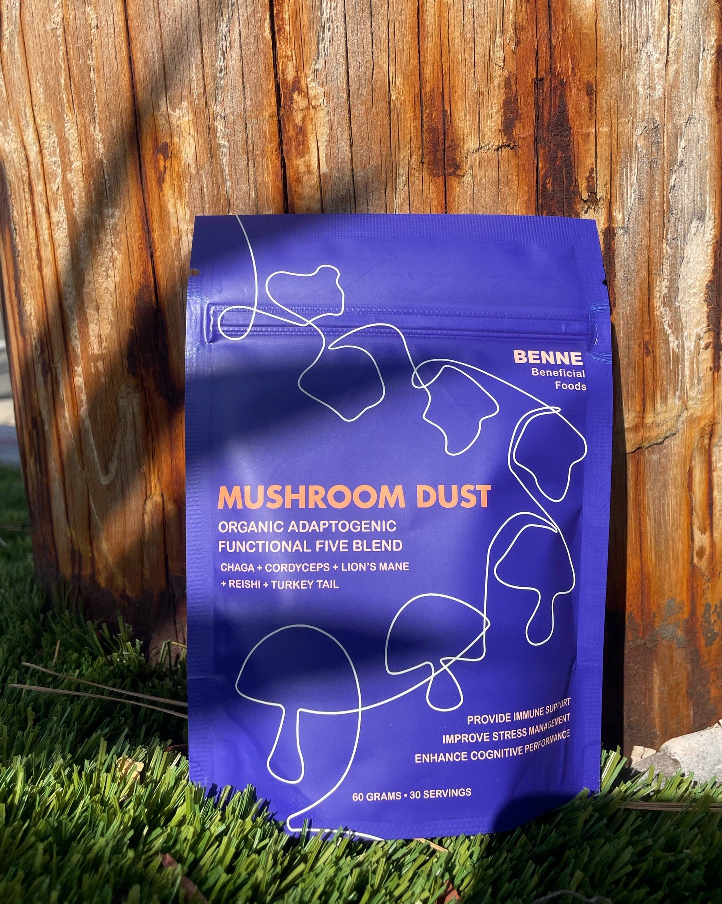 Mushroom Dust - Functional Five Blend