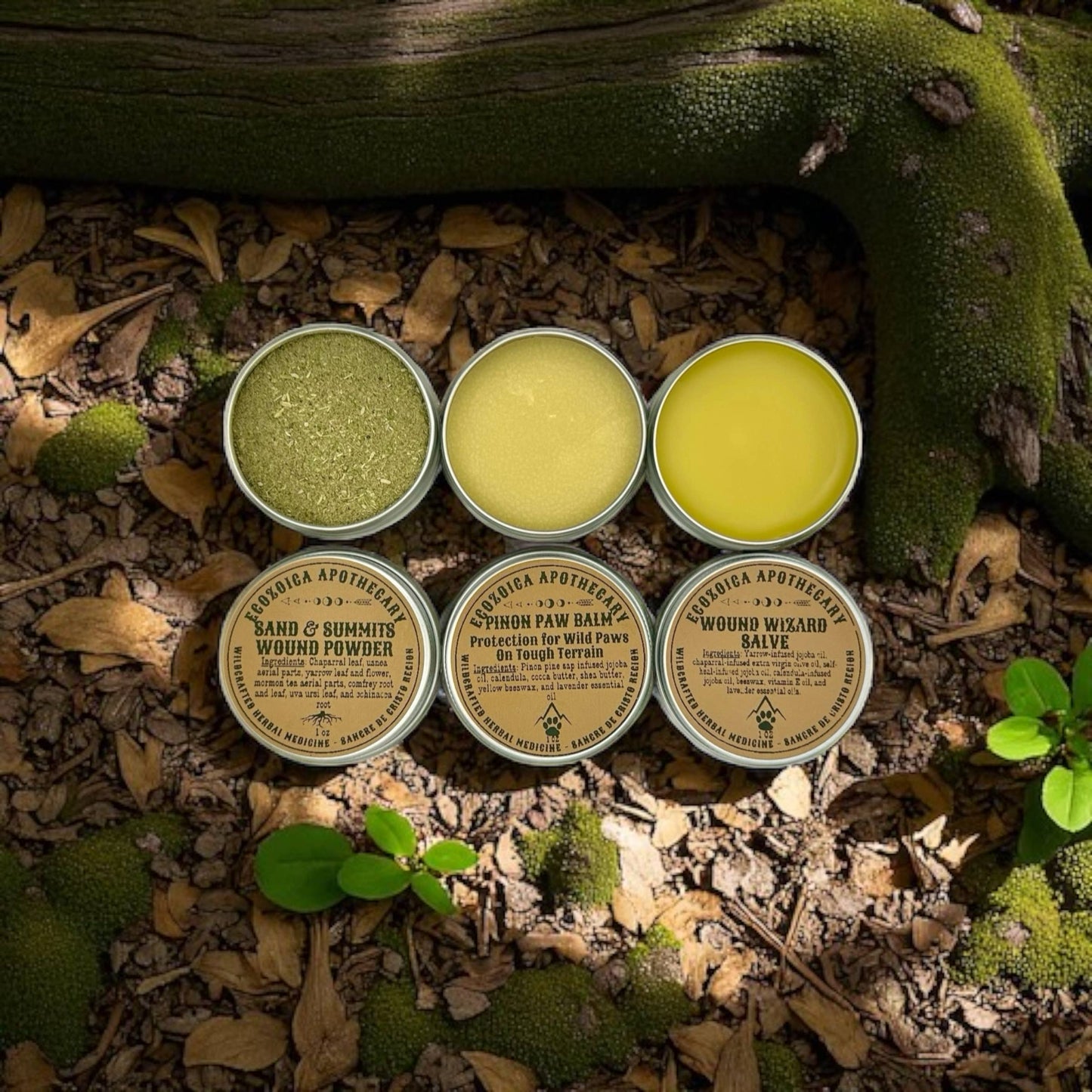 Herb & Hound First Aid Kit for Dogs