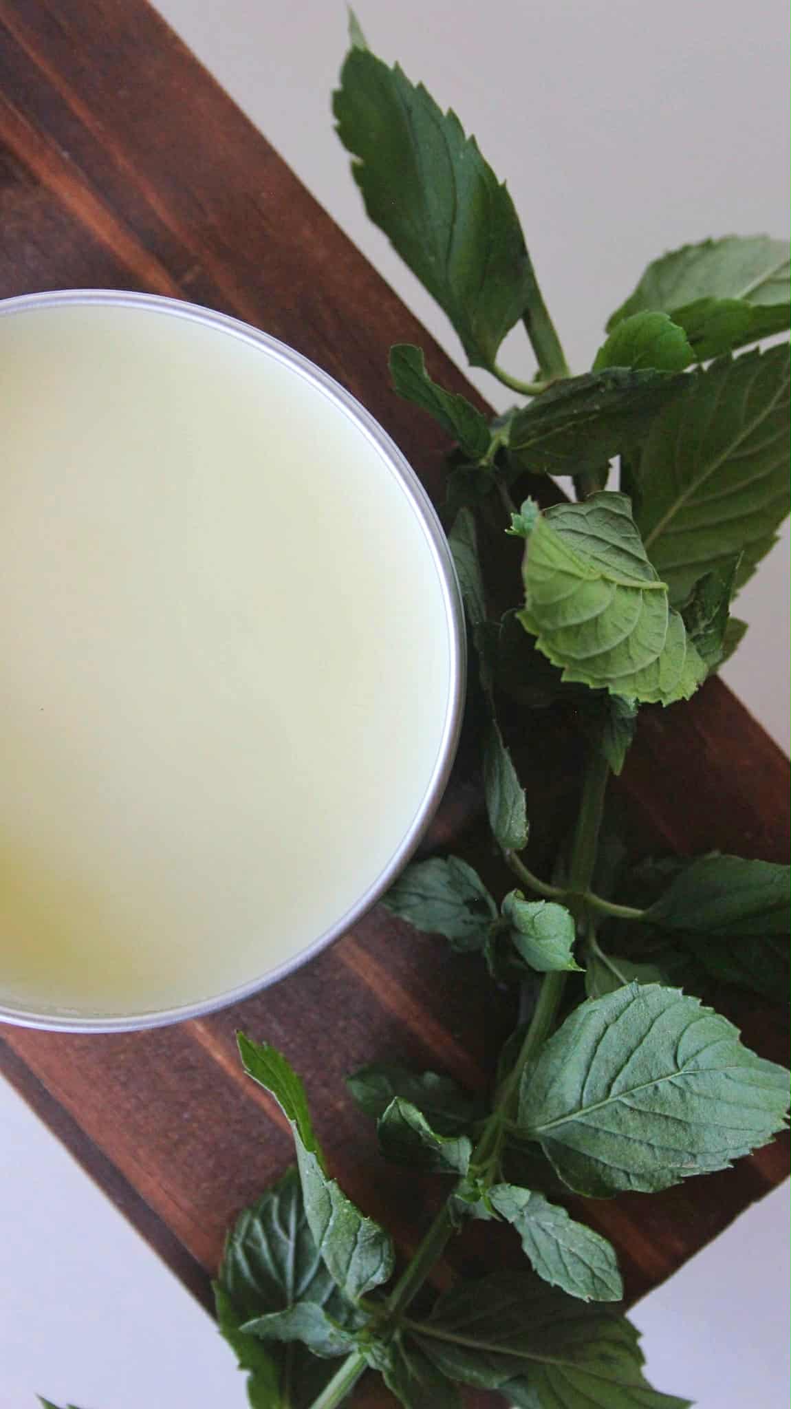 Breathe Well Balm | Tallow Vapor Chest Rub